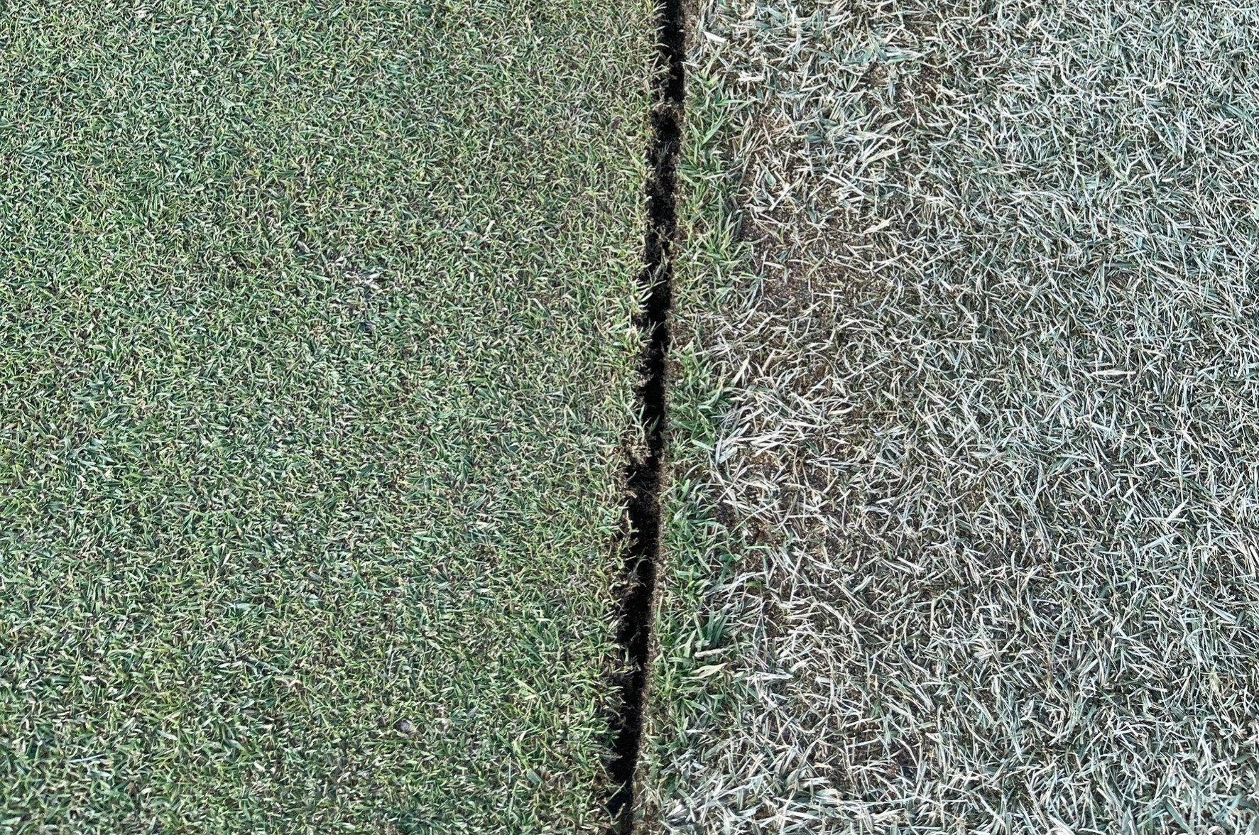 休眠中のHPV神話